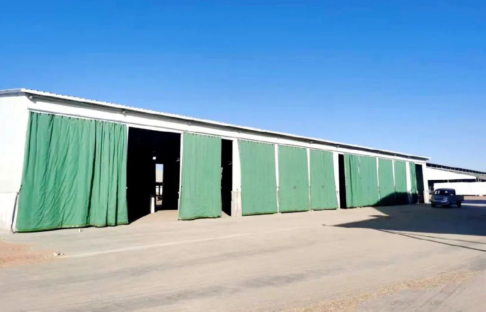 想牧場之所想，急牧場之所急——基建部搭建保溫車庫助力牧場降本增效